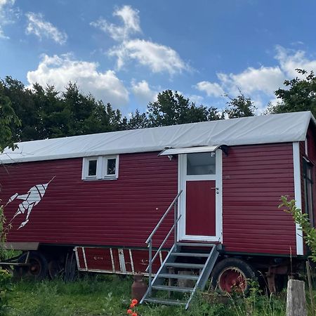 Zirkuswagen Nahe Ostsee Und Schlei Wagersrott Dış mekan fotoğraf
