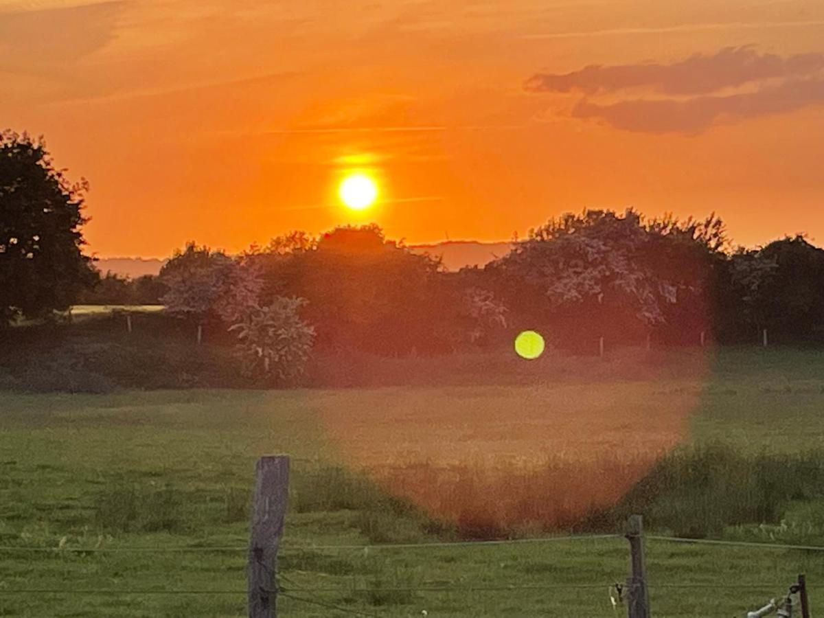 Zirkuswagen Nahe Ostsee Und Schlei Wagersrott Dış mekan fotoğraf